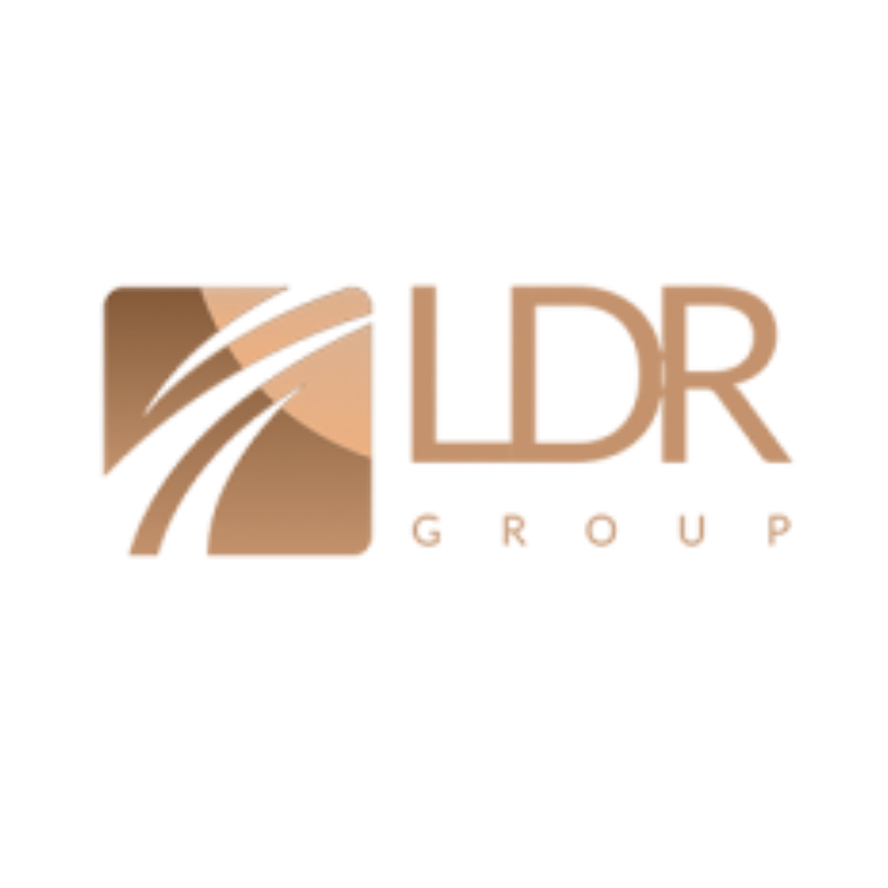 LDR Group logo